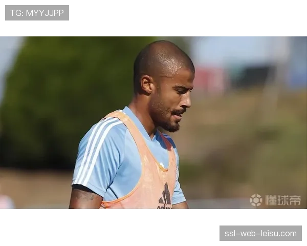 弗拉霍维奇左小腿比目鱼肌轻度损伤，预计缺席三周比赛